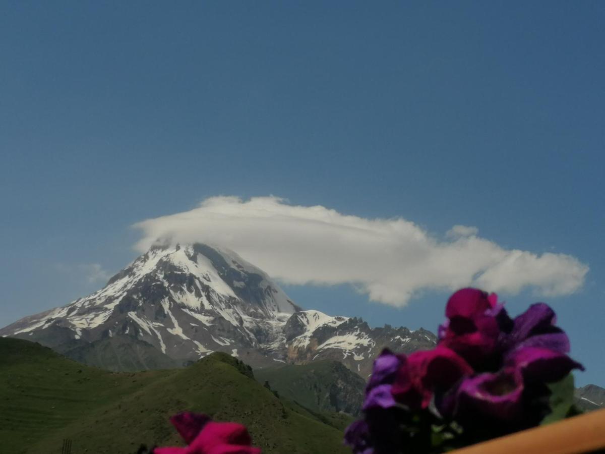Panorama Cottages Kazbegi Bagian luar foto