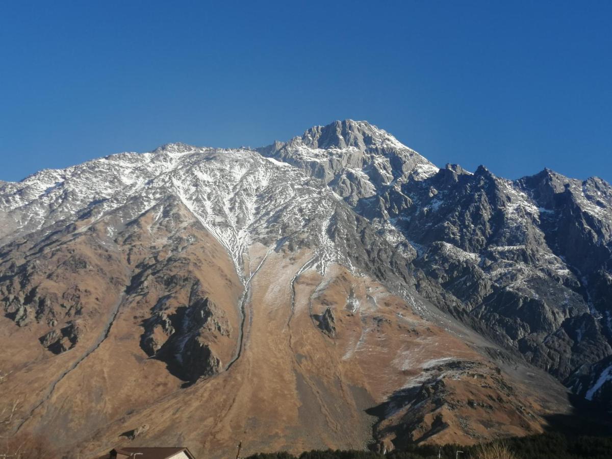 Panorama Cottages Kazbegi Bagian luar foto