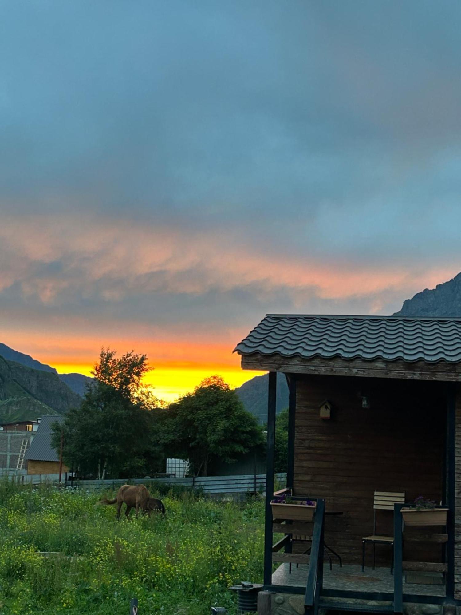 Panorama Cottages Kazbegi Bagian luar foto