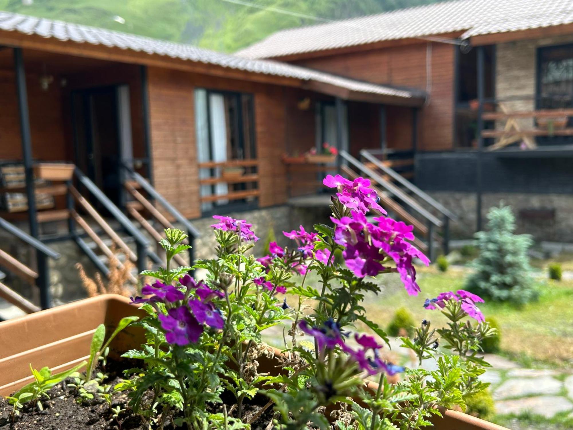 Panorama Cottages Kazbegi Bagian luar foto