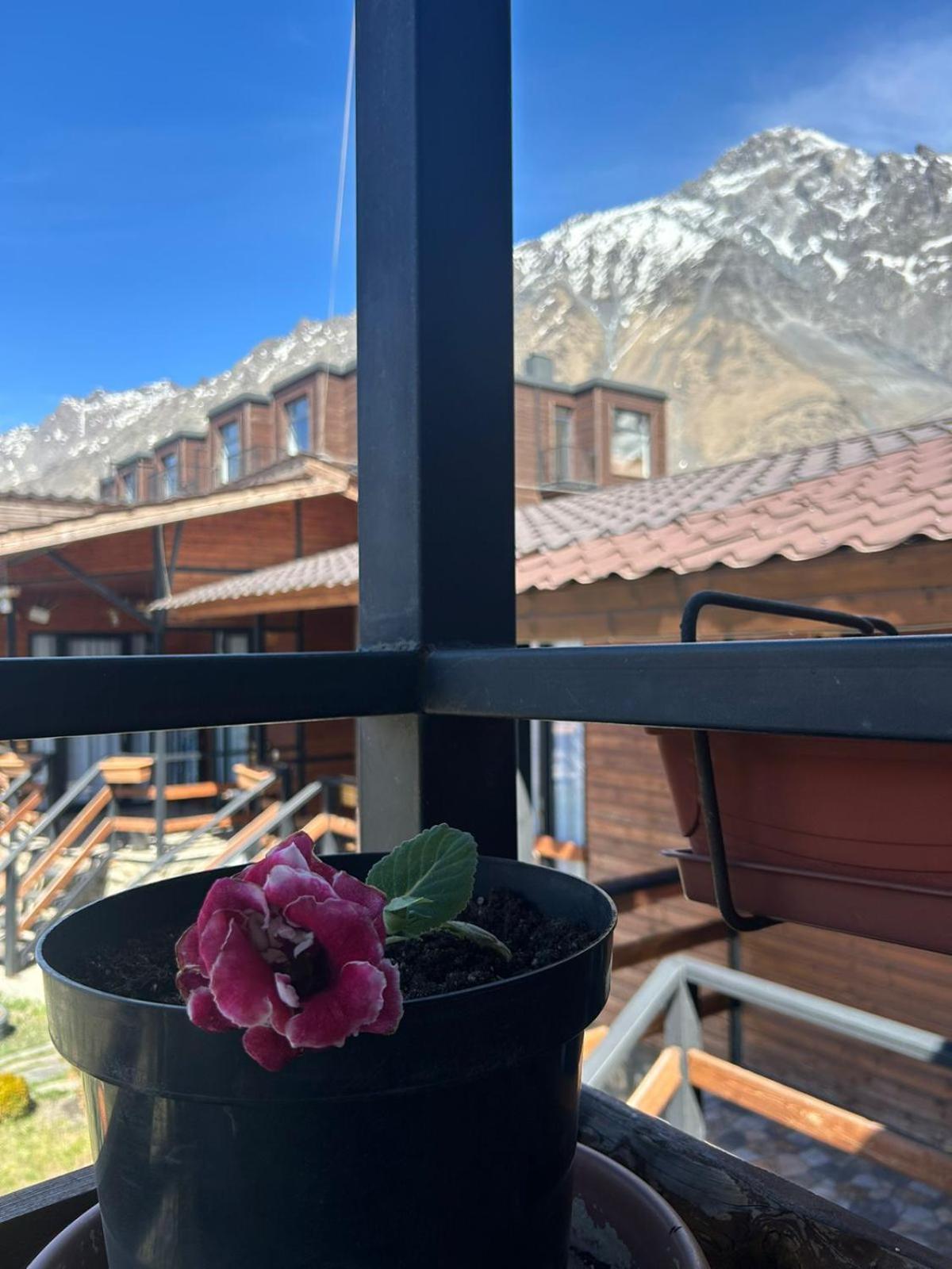 Panorama Cottages Kazbegi Bagian luar foto