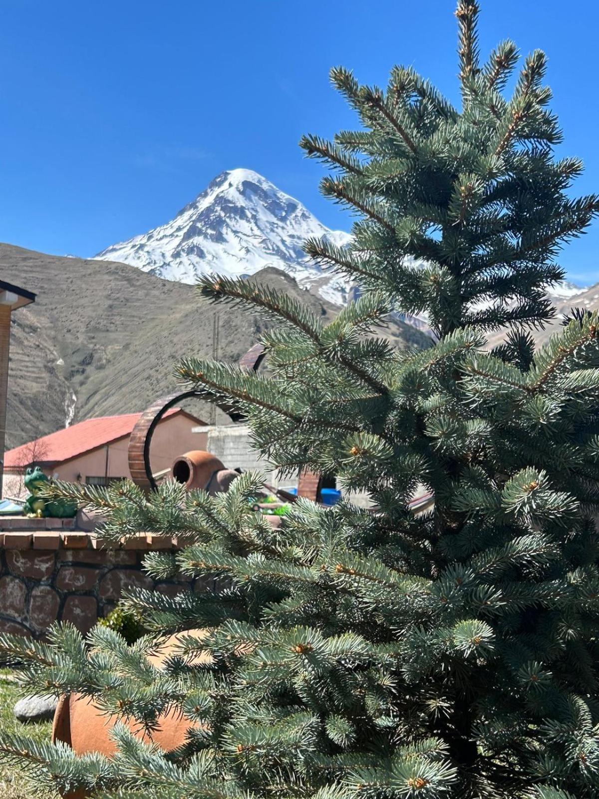 Panorama Cottages Kazbegi Bagian luar foto
